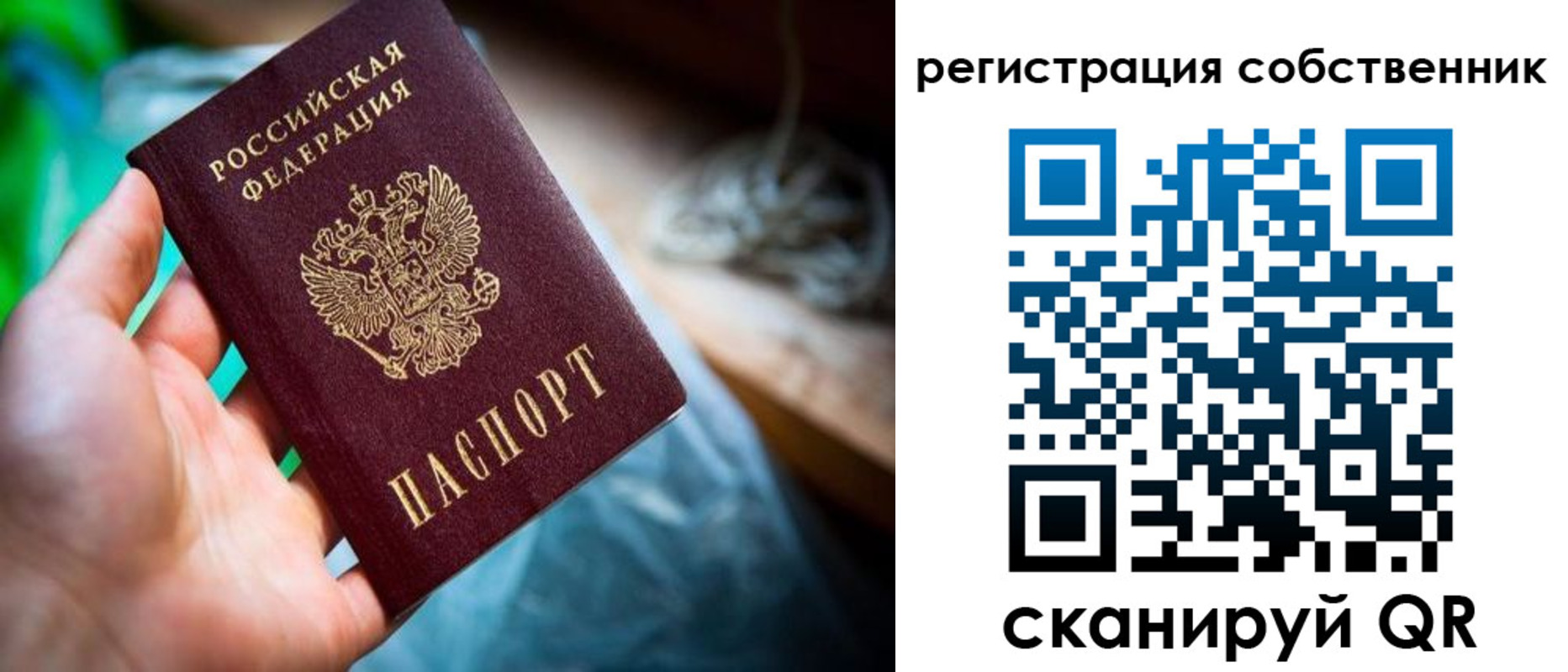 прописка гарантия в Калининске